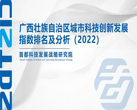 中国操大逼【成果发布】广西壮族自治区城市科技创新发展指数排名及分析（2022）